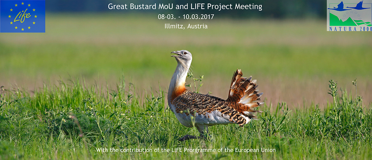 Great Bustard Memorandum of Understanding and LIFE Project Meeting in Illmitz | Quelle: www.grosstrappe.at