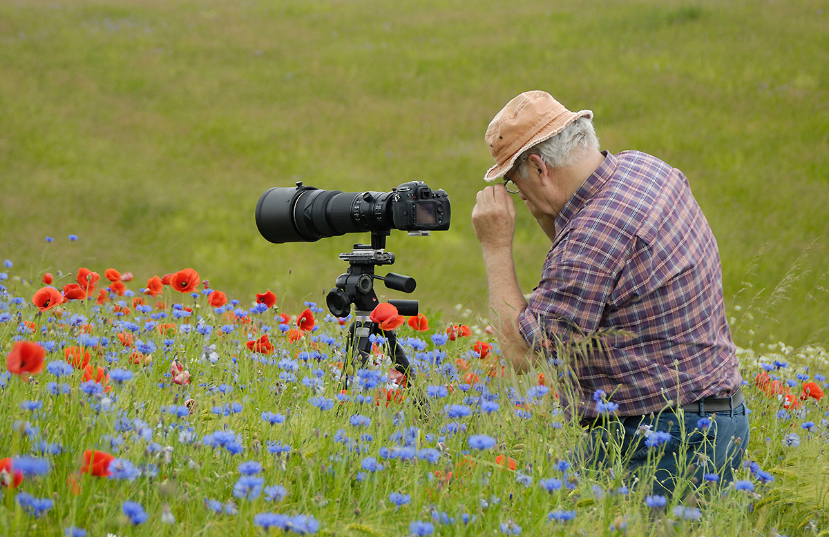 Workshop "Naturfotografie im Havelland"