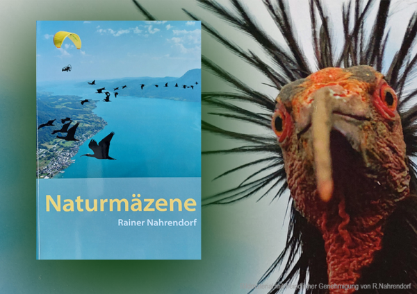 Das neue Buch Rainer Nahrendorf "Naturmäzene. Stifter, Spender, Sponsoren für den Schutz der Natur" stellt die Macher und Macherinnen hinter Natur- und Artenschutzprojekten in den Mittelpunkt. Es ist, wie der Autor schreibt "...eine Hommage an die Naturmäzene und ihr beispielhaftes Engagement". Sie lädt dazu ein, selbst im Vogelschutz aktiv zu werden. Unser Tipp: Absolut lesenswert.